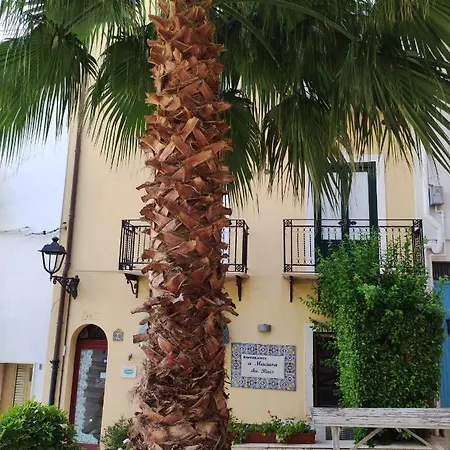 Homestay La Palma *